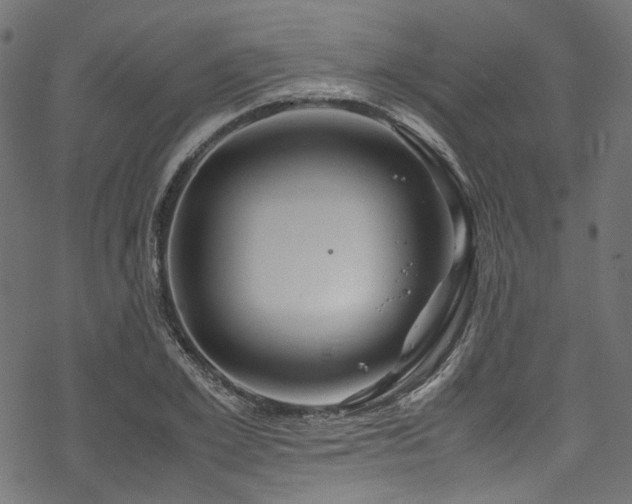 X0000070190981200605261153