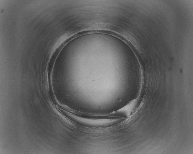 X0000070190982200605261153