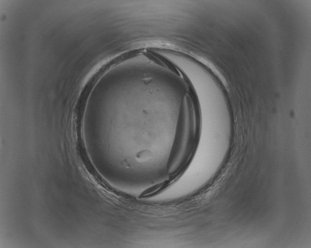 X0000070190983200605261153