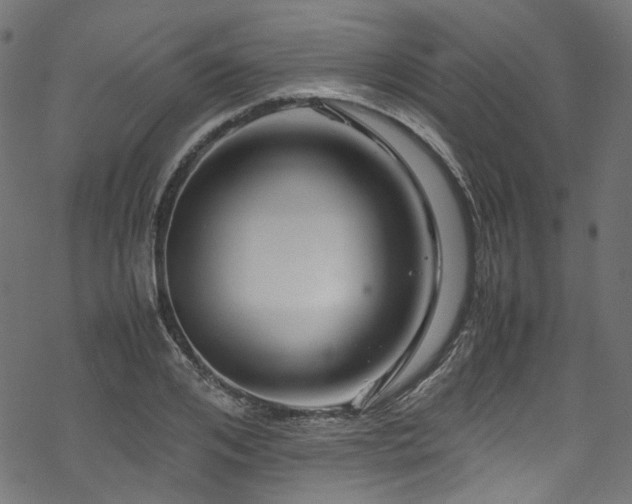 X0000070190984200605261153