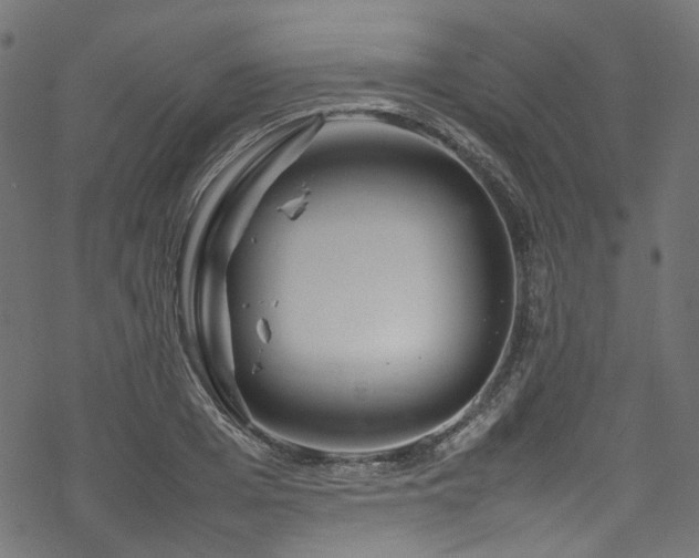 X0000070190985200605261153