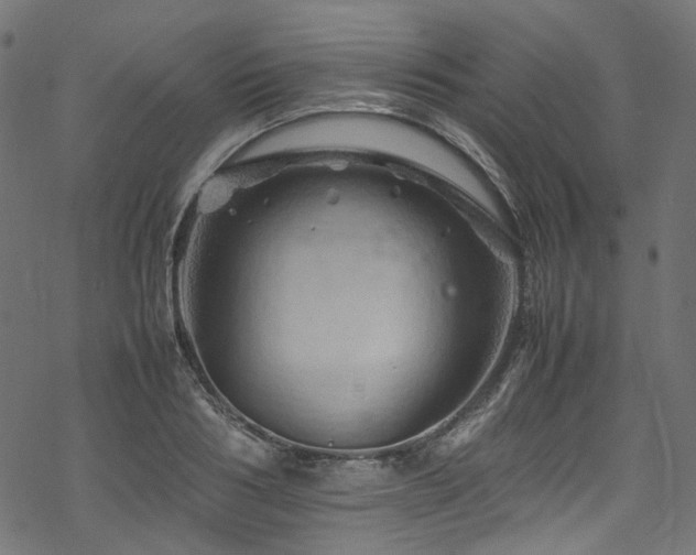 X0000070190986200605261153