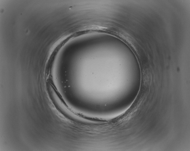 X0000070190987200605261153