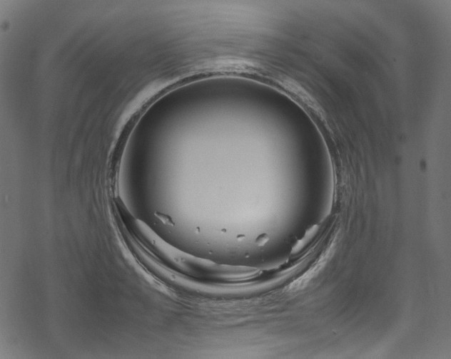 X0000070190989200605261153