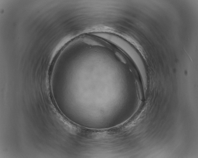 X0000070190990200605261153