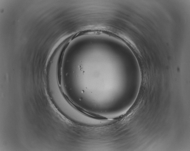 X0000070190992200605261153