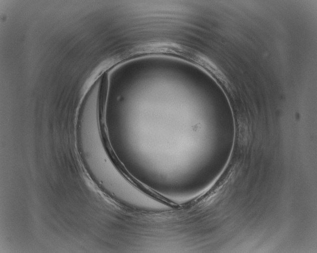 X0000070190994200605261153