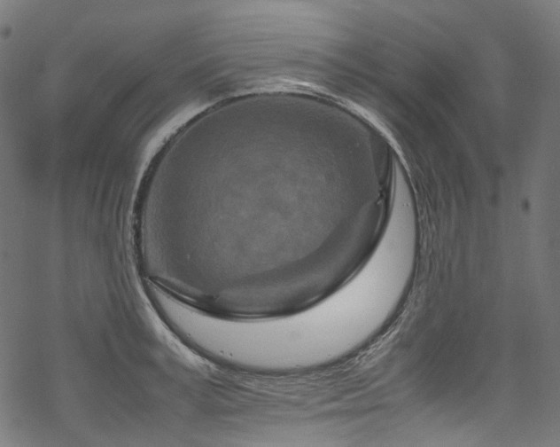 X0000070190995200605261153