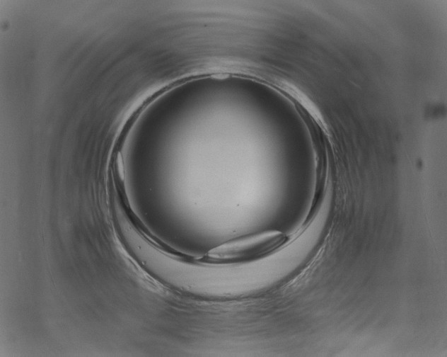 X0000070190996200605261153