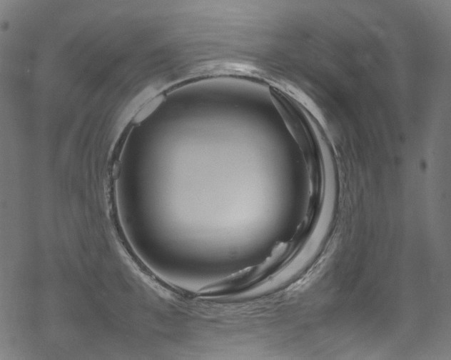 X0000070190997200605261153