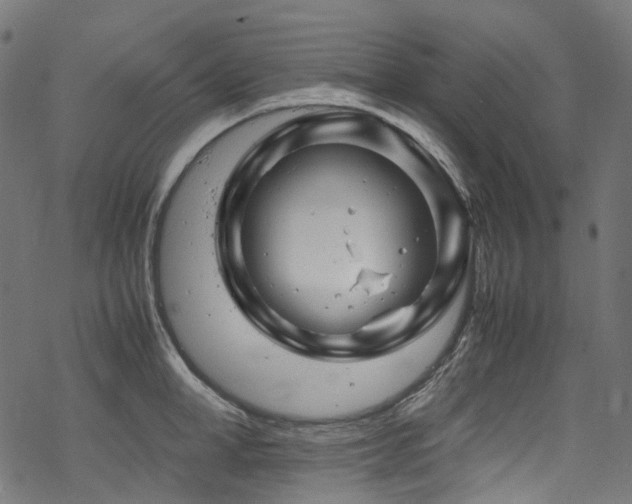 X0000070190998200605261153