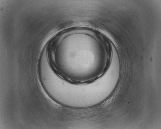 X0000070190999200605261153