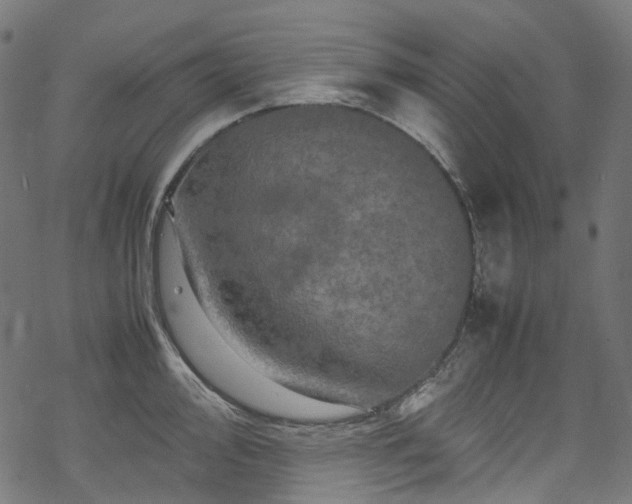 X0000070191000200605261153