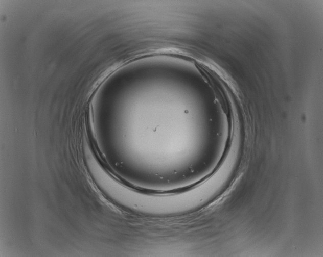 X0000070191001200605261153