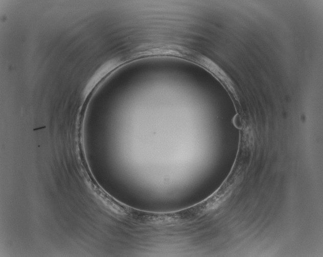 X0000070191002200605261153