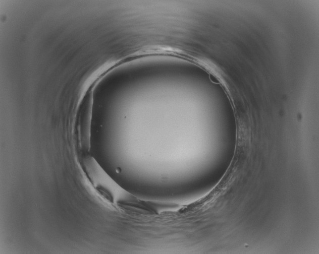 X0000070191003200605261153