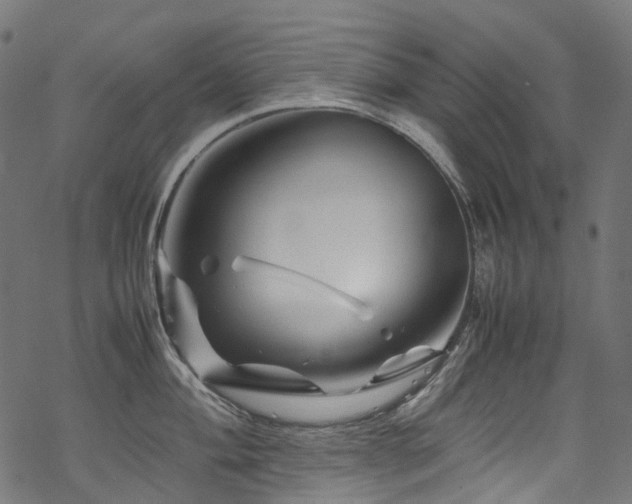 X0000070191004200605261153