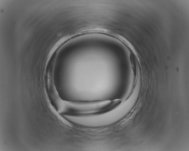 X0000070191005200605261153