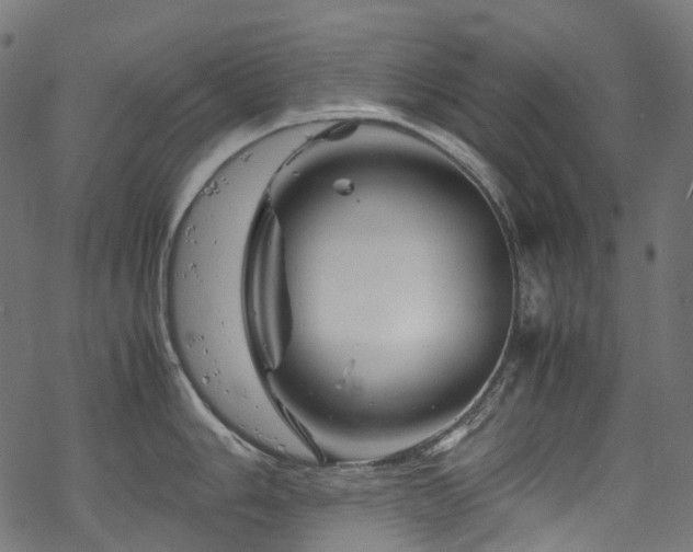 X0000070191006200605261153