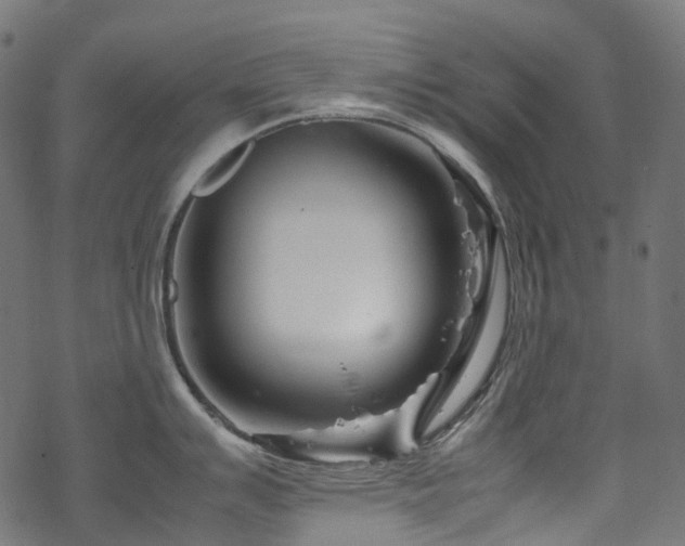 X0000070191007200605261153