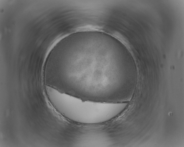 X0000070191008200605261153