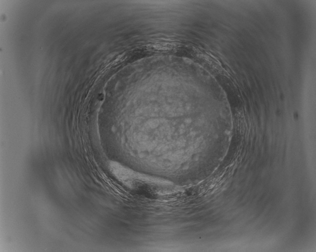 X0000070191009200605261152