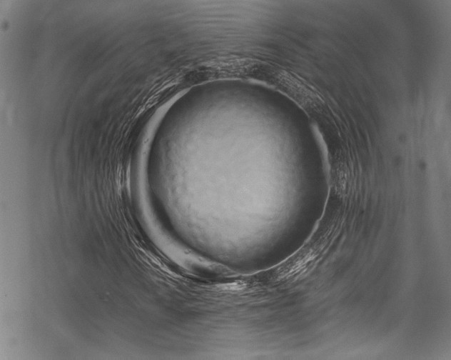 X0000070191010200605261152