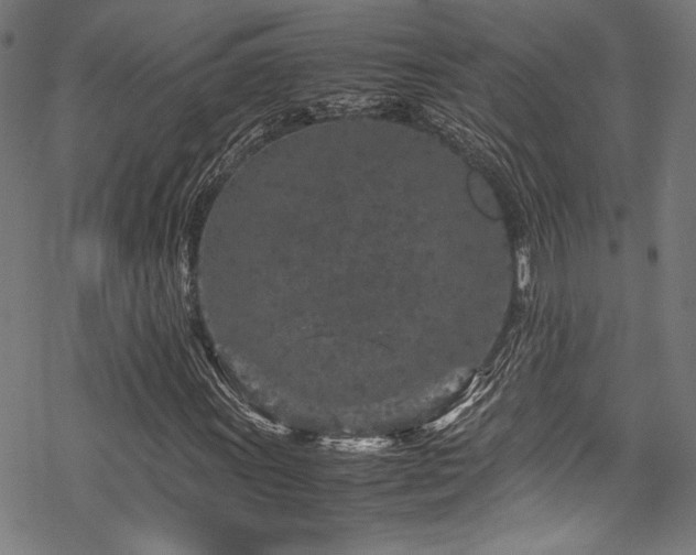 X0000070191011200605261152