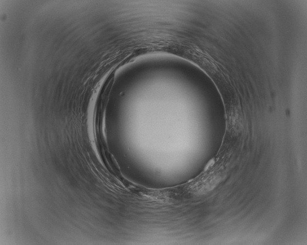 X0000070191012200605261152