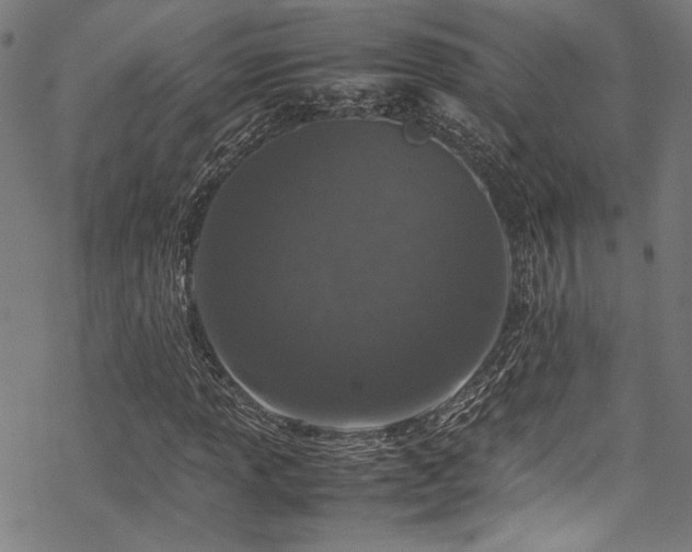 X0000070191013200605261152