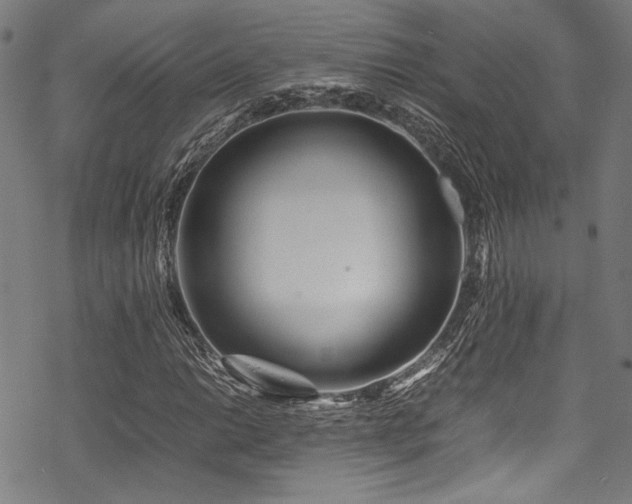 X0000070191014200605261152