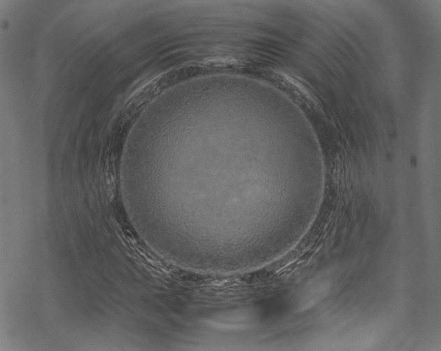 X0000070191015200605261152