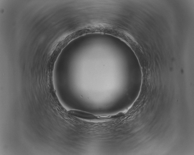 X0000070191016200605261152