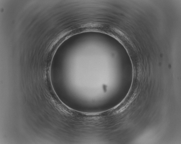 X0000070191017200605261152