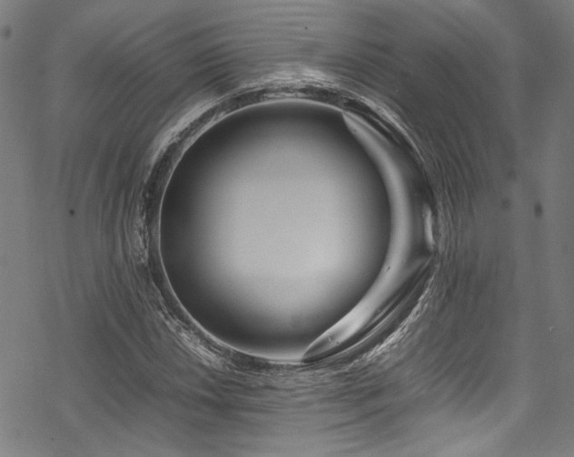 X0000070191018200605261152