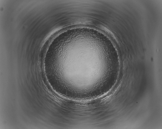 X0000070191019200605261152