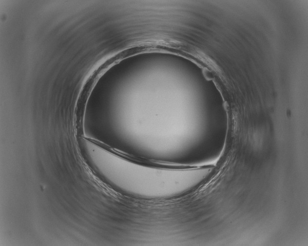 X0000070191020200605261152