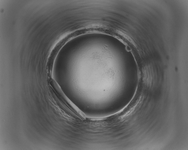 X0000070191021200605261152