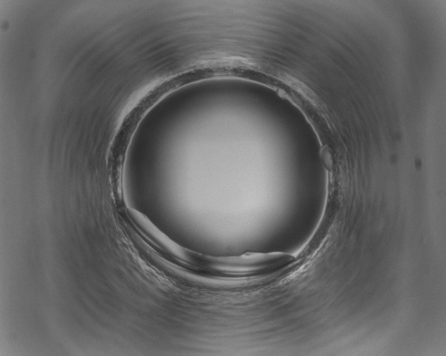 X0000070191022200605261152