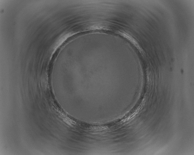 X0000070191023200605261152