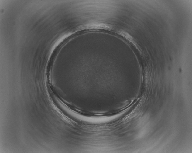 X0000070191024200605261152