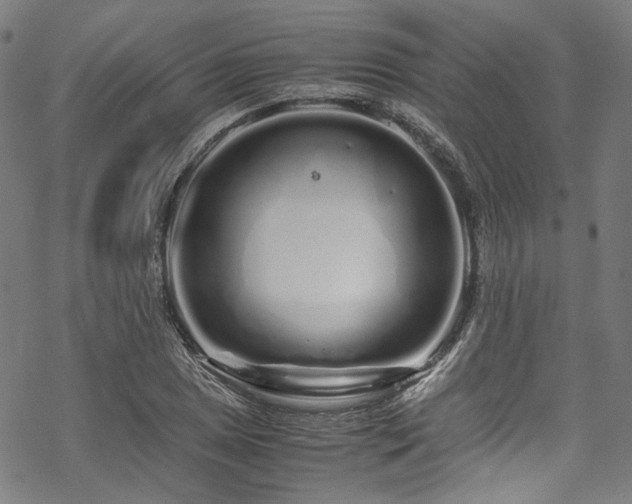 X0000070191025200605261152