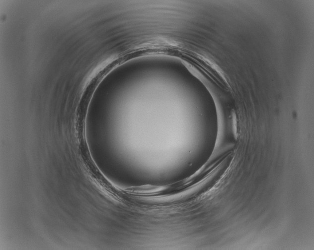 X0000070191026200605261152