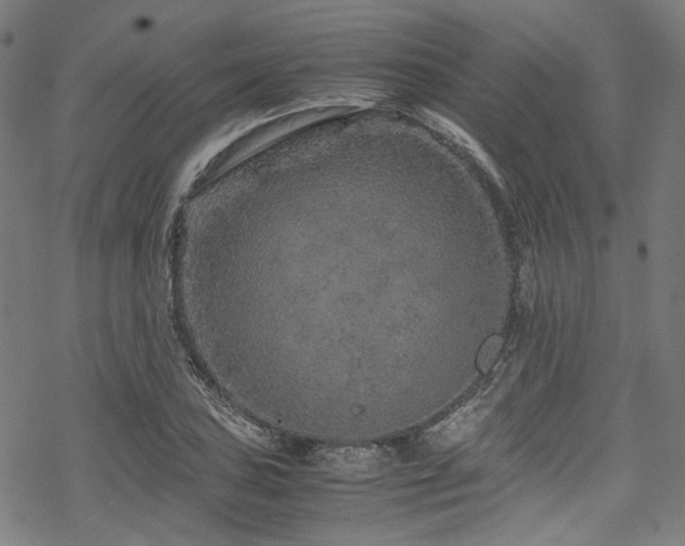 X0000070191027200605261152