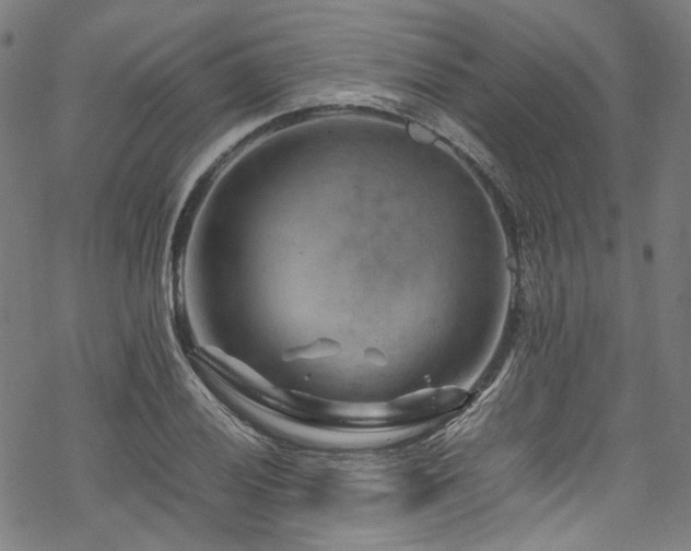 X0000070191028200605261152