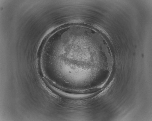 X0000070191029200605261152