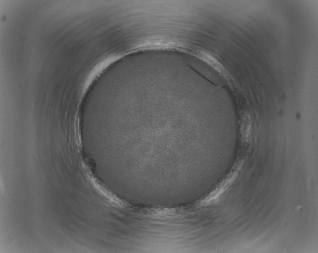 X0000070191030200605261152