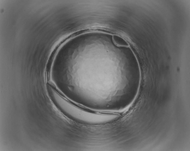 X0000070191032200605261152