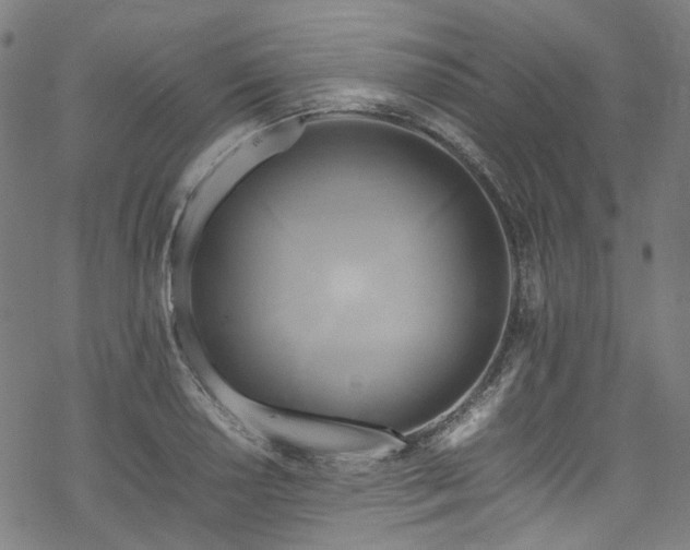 X0000070191034200605261152