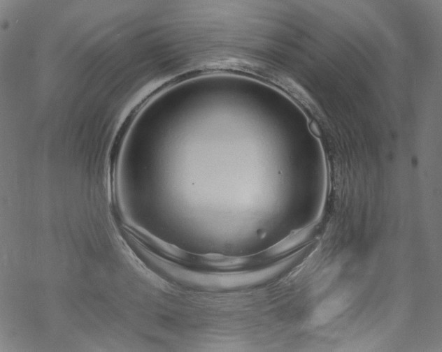 X0000070191036200605261152